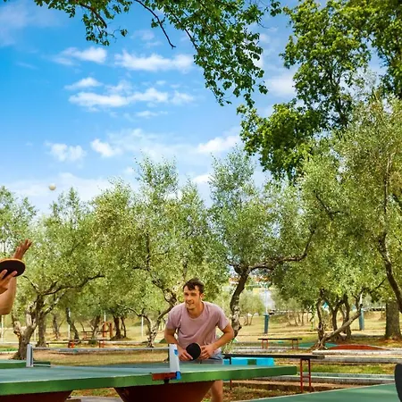 Relax Premium Village Holiday Homes منتزه العطل Novigrad Istria
